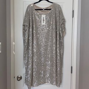 Silver sequin dress